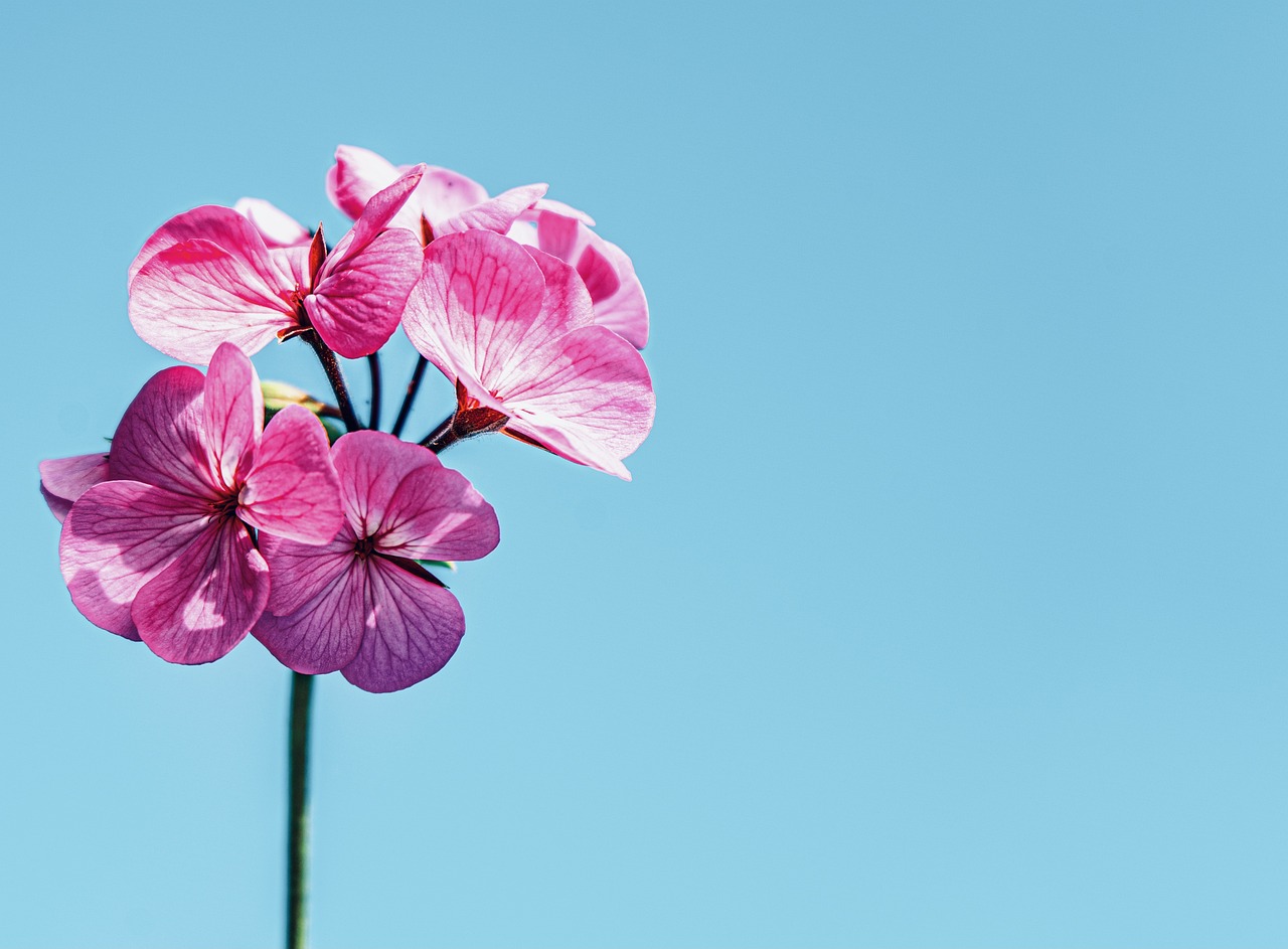 Can Science and Philosophy Provide Answers about the Meaning of Life?